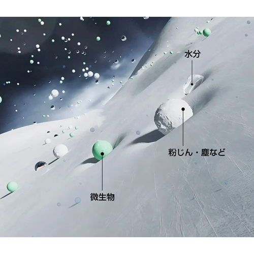 バリア性